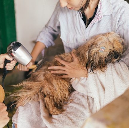 Pet Hair