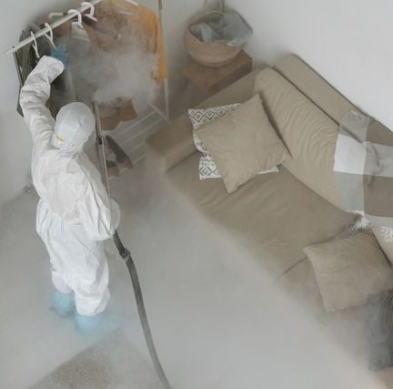 Pest Prevention