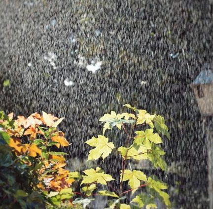 Seasonal Rainfall